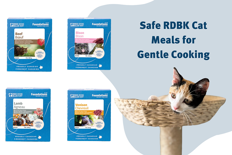 rdbk sous vide options for dogs