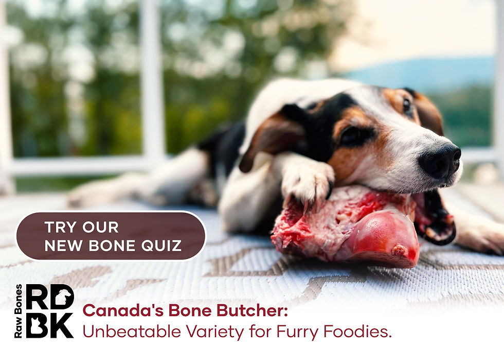 Red Dog Blue Kat Raw Pet Food Canada red-dog-blue-kat-raw-pet-food-canada