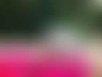 Pawesome Picks: 8 Must-Have Summer Essentials for Dogs to Keep Them Cool and Happy!