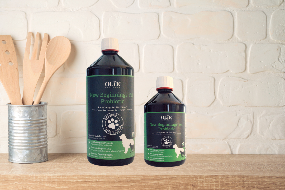 Olie Naturals New Beginnings probiotic bottles two sizes liquid format