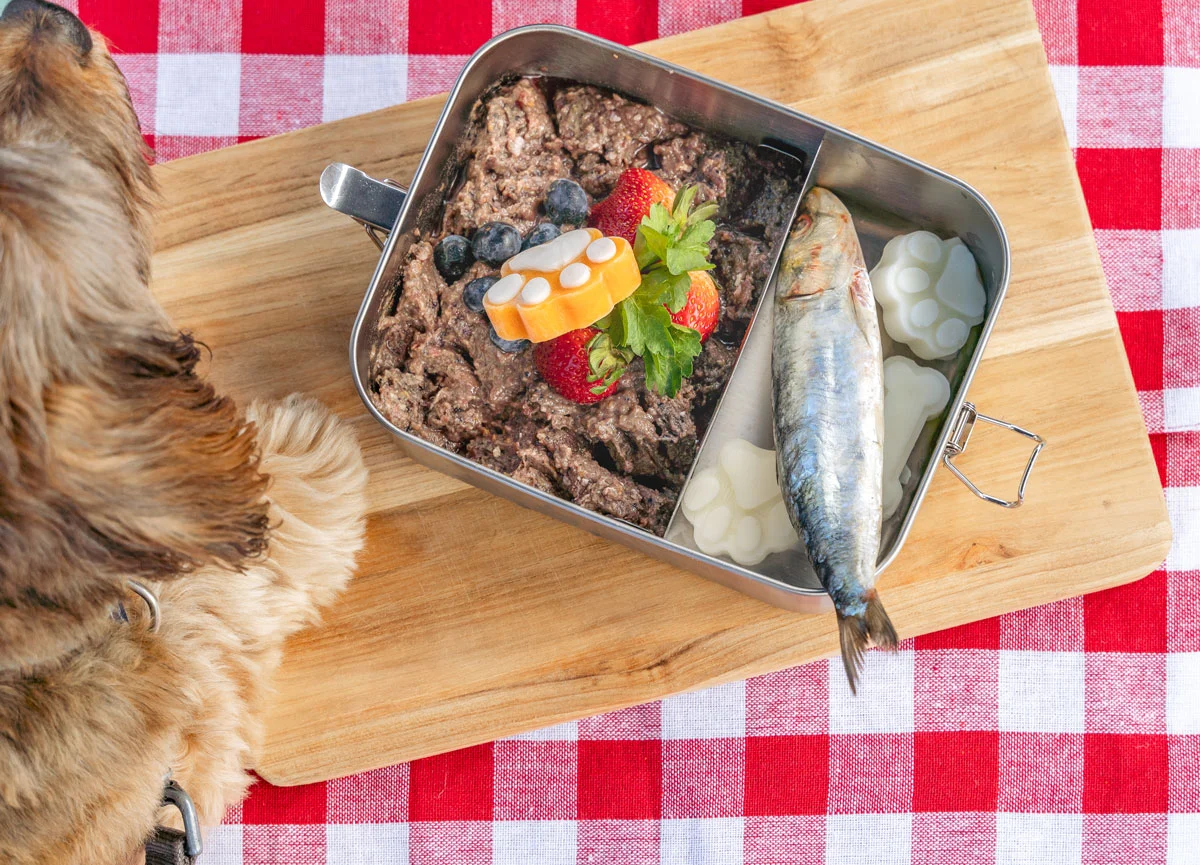 premade raw meal with fish, fruits and vegetables, on a wooden board overtop a white and red checkered blanket. A dog's paw is on the side of the board.