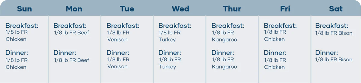 Weekly table showing breakfast and dinner raw meals