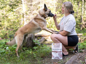 Julia with her Border Collie–Belgian Malinois mix, Kilo, and Belgian Malinois, Hex, enjoying the outdoors together with Red Dog Blue Kat's Everyday Raw Anywhere