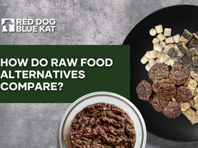 The Best Raw Food Alternatives for Dogs: Freeze-Dried, Air-Dried, Dehydrated or Gently Dried