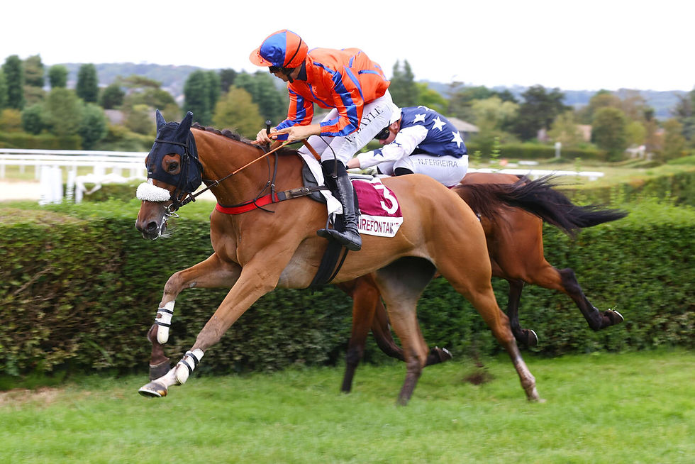 LOUBRALTAR (2022g.)
