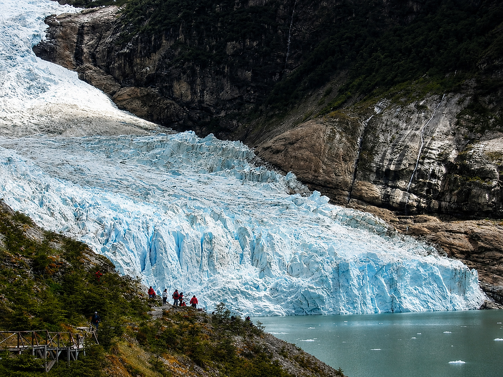 Miniatura: Glaciares Balmaceda y Serrano – Navegación y Almuerzo Patagónico
