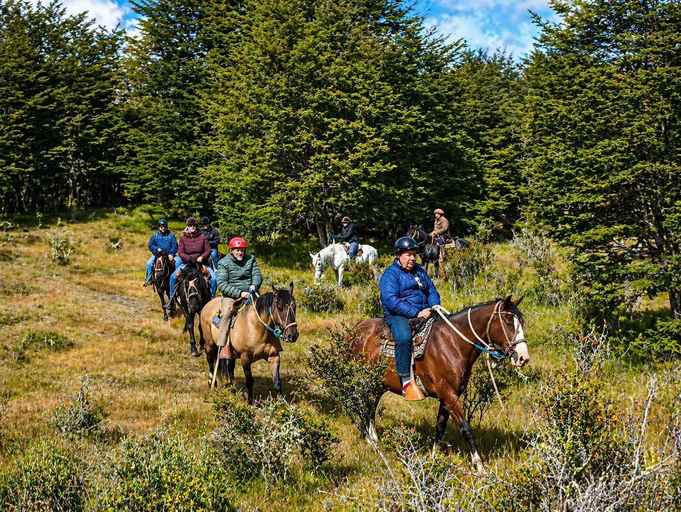 Miniatura: Cabalgata Bosques y Estrecho de Magallanes