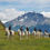 Miniatura: Estancia La Península