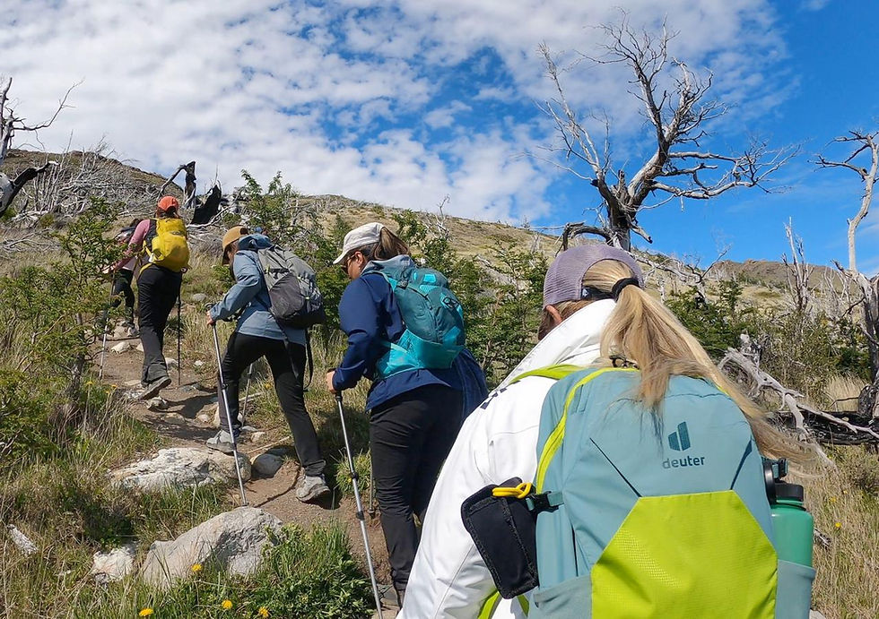 Miniatura: Excursión Caminata Miradores del Paine desde Puerto Natales