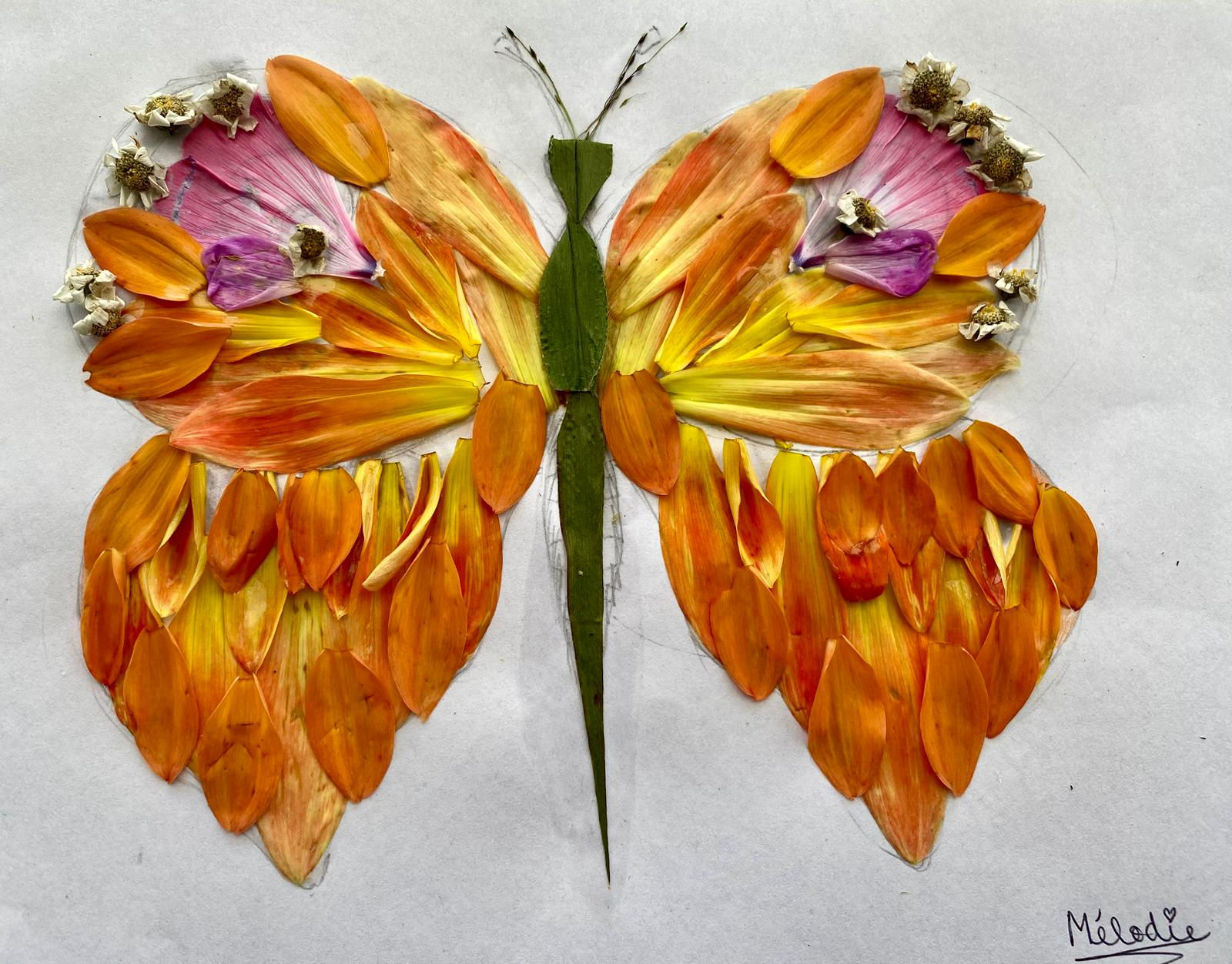 Flower petal collage