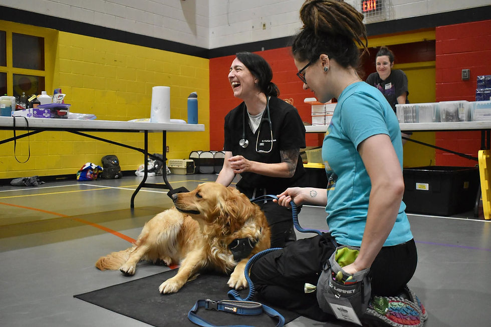 A dog lays on a mat while waiting for its veterinary care, with three smiling veterinarians.