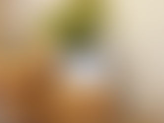 Татарстанның атказанган укытучысы Роза Низамованың шәхси күргәзмәсе