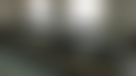 Музейның яңа тормышы