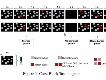 Faux Medical Trial using the COMPASS Corsi Block Task (Past Academic Essay)