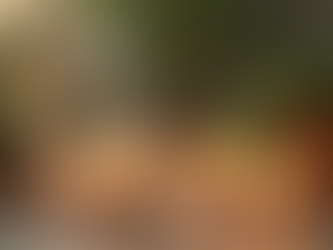 When I Ruled The World