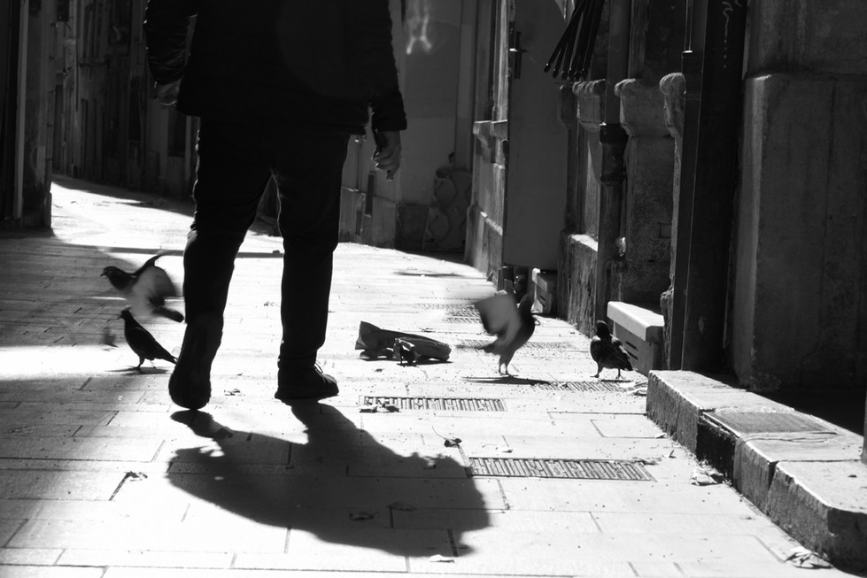 Avignon-1