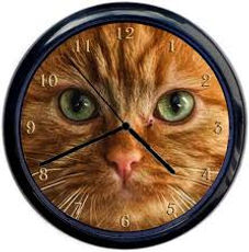 CAT CLOCK.JPG