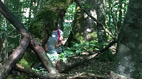 Grand jeu dans le bois pour les P3/P4