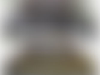 Moss: The Green Menace (And What We Can Do About It)