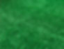 89067354_132106354878724_7863205013106163011_n_edited.jpg