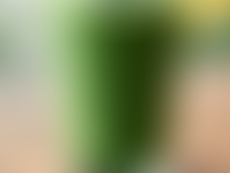 The Health Benefits of Spirulina, Chlorella, and Wheatgrass: A Scientific Perspective