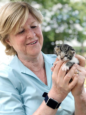 Animal Welfare