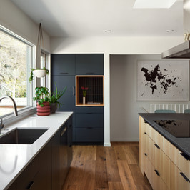 Remodels and Additions