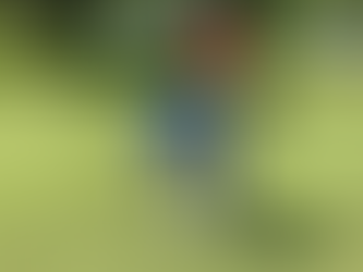 Golfer in a blue long-sleeve shirt and gray pants bending down to retrieve a ball from the hole on a sunny green, with a red flagstick and golf bag visible in the background.