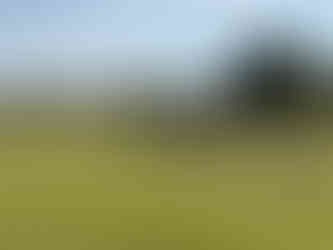 "Fall view of The Gailes golf course at Lakewood Shores, featuring green fairways, sand bunkers, and autumn trees under a partly cloudy sky.