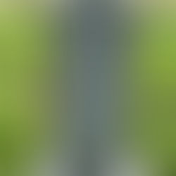 The Declaration and Lincoln's Virginia Roots