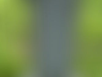 The Declaration and Lincoln's Virginia Roots