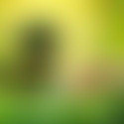 Vyjádření MěÚ Rakovník, odbor výstavby a životního prostředí