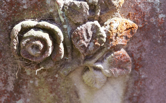 rose_headstone.jpg