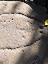 20200519_134929 2.jpg