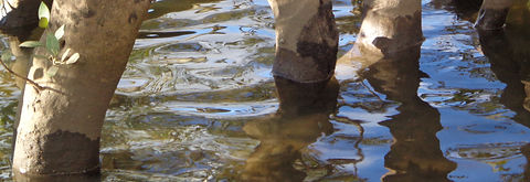 DSC00569_edited.jpg