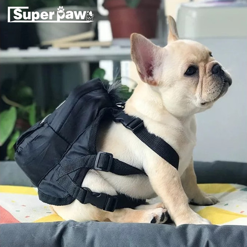 frenchie backpack