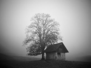 Capturing Essence in the Mist: A Morning in the Jura