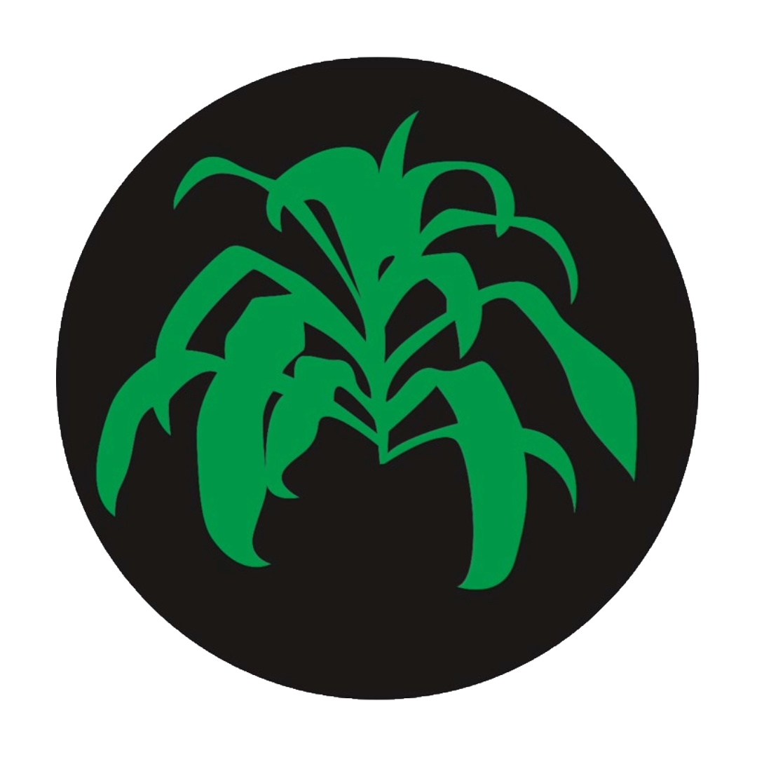 Logo (5).png