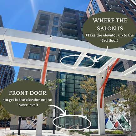 Jessica Lauren Studio Alexandria