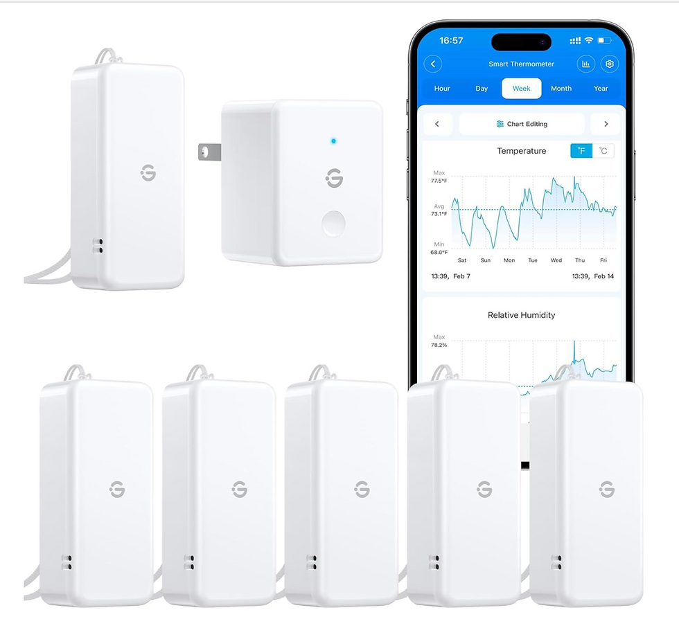 GoveeLife Smart Humidity Reader