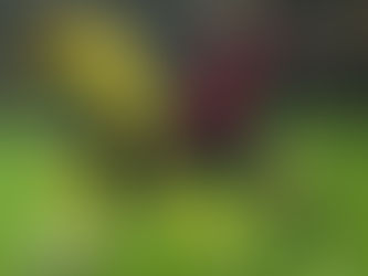 Soi kèo Barcelona vs Olympiakos, 23:45 ngày 21/10 - UEFA