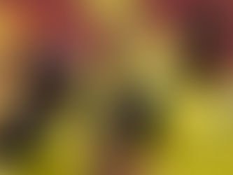 Soi kèo Ecuador - Venezuela, 06h00 ngày 19/3 - VL World Cup