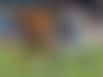 Soi kèo Hull City - Millwall, 19:30 ngày 7/3 - Hạng Nhất Anh