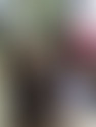 The Desk Needs a Friend