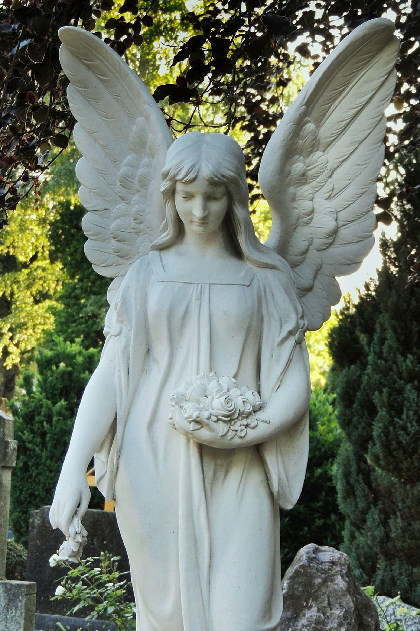 We have all sinned and do need the glory of God. (Romans 3:23, Douay-Rheims version)