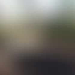 Segrest Cemetery, Tyler County, Texas