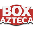 logo_box.png