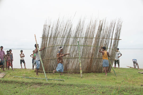 Reed Wall performative intervention