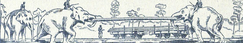 Assam Railways and Trading Company, Elephants