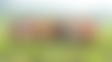 みなかみ町でのワーケーションを応援！町内ワーケーションスポットでの朝食メニューテスト販売を開始しました！〜食を通して、サスティナブルなまちづくりにつなげるトライアル事業〜